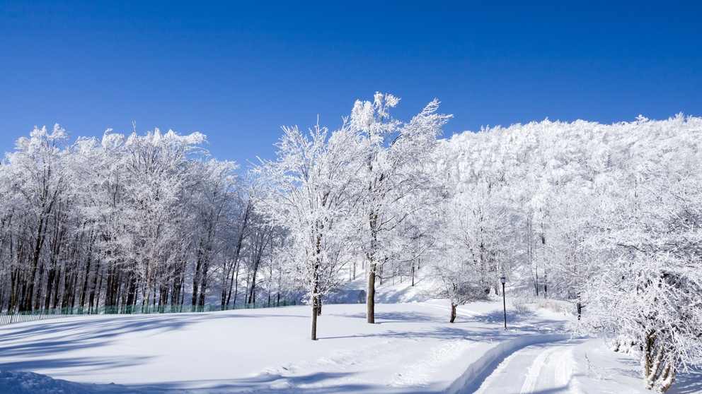 2026哈尔滨国际冰雪经济博览会开幕