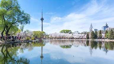 市属公园推出30处赏花踏青场所