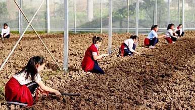 创新研学旅游 让孩子“劳动并快乐着”