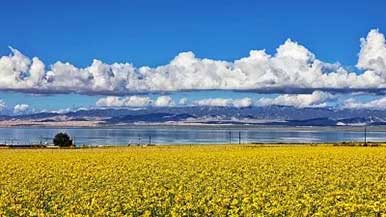 青海湖将迎来“国家公园时代”