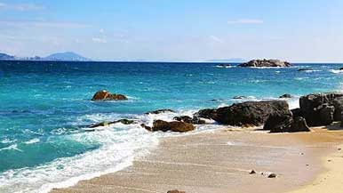 椰风海韵醉游人 诗情画意满天涯