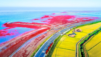 公路游：车行画里 人游景中