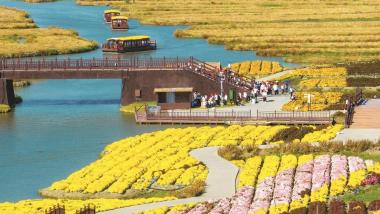 畅游千垛花海 乐享金秋研学