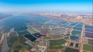 山西运城：冬日盐湖美如画