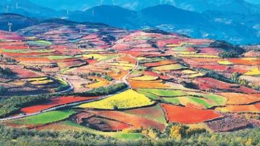 为2023中国旅游“画像”：强劲复苏蓬勃向好