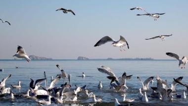 中国“Z世代”热衷新型旅游方式 引领市场迭代升级