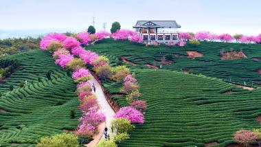 巩固稳中向好基础 繁荣发展旅游经济——业界热议中央经济工作会议精神