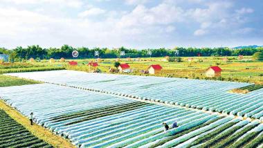 广西南宁：“美丽南方”的乡村模样