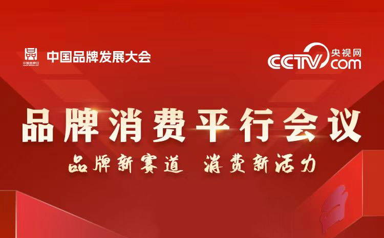 2024年中国品牌发展大会品牌消费平行会议嘉宾金句海报