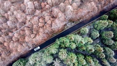 冬日冰雪景致 山川万物银装素裹