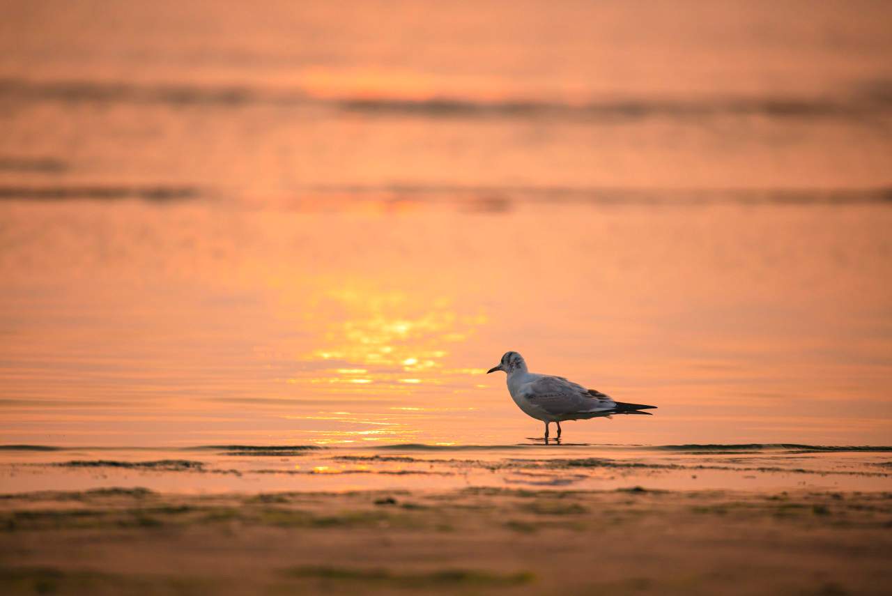 海风中的全福楼