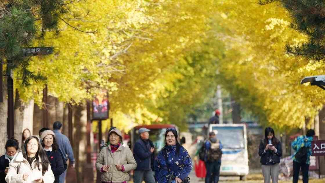 2025年，唱响旅游服务和消费主旋律