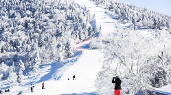 跨越2000公里的春节“差异游”受“Z世代”追捧