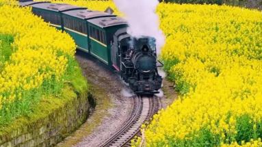 乘火车出发 与春天相约