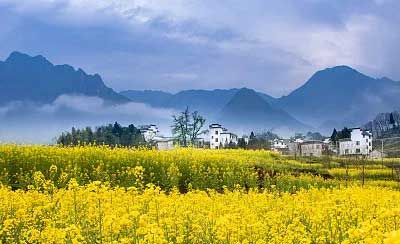 清明假期临近，出行、游览、祭扫最新要求来了