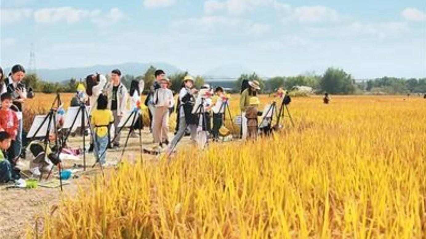 让文化遗产“活”在社区里