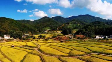 乡村旅游持续火热 魅力田园活力无限