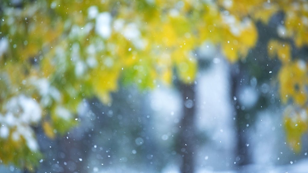 文化中国行・诗意节令｜小雪：晚来天欲雪，能饮一杯无？