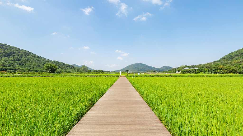 “五一”假期重识家乡成热潮 文旅“乡愁”中迎新机