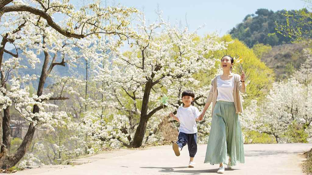 全国花式赏樱地图来了！十大胜地解锁春日赏花
