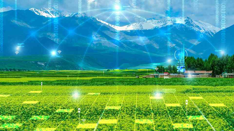 新华视点丨“科技游”持续升温，如何开辟文旅新蓝海？